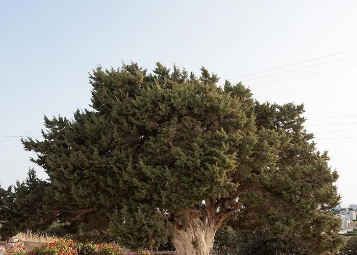 Aurea Blu 09 Sea, Sun, Pure Enjoyment Апартаменты